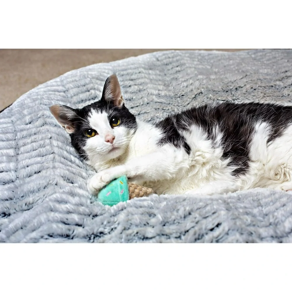 Ice Cream Cone Cat Nip Cat Toy NWT
